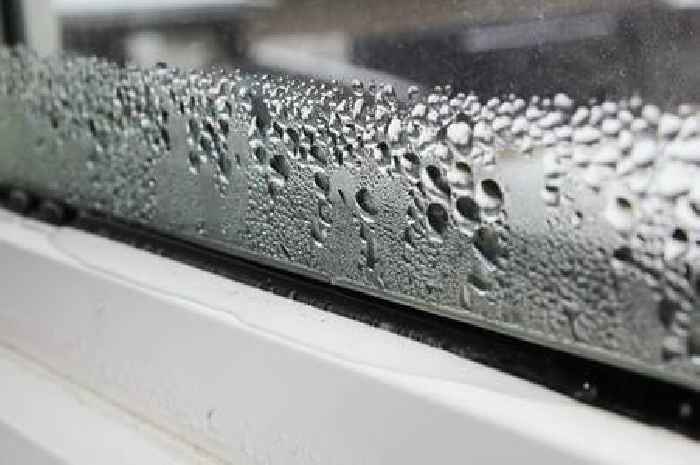 Get rid of condensation on windows with easy three-step cleaning method