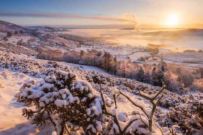 Met Office says people will wake up to snow as it settles over night