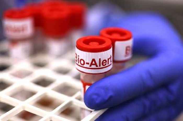 Patients' own blood could be used to help repair broken bones