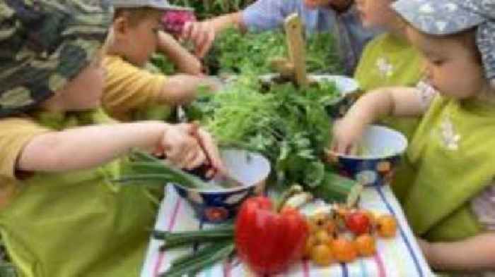 Nurseries ban tinned tuna over mercury level worry