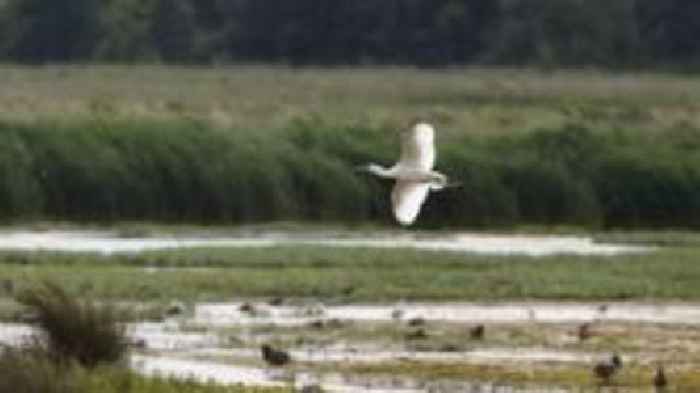 Nature festival to help young people 'take lead'