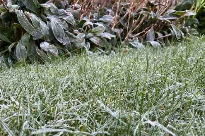 How cold it will get in the Hull area with early winter blast on the way