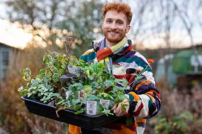 Gardening expert issues winter warning about plants you 'shouldn't touch until February'