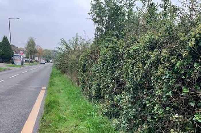 Sutton Coldfield cycle path plan for huge new development sparks hundreds of complaints