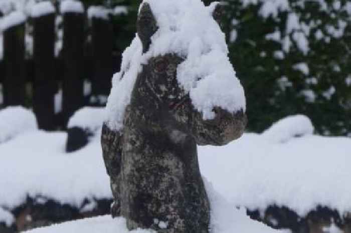 All the parts of England set for snow tomorrow according to Met Office