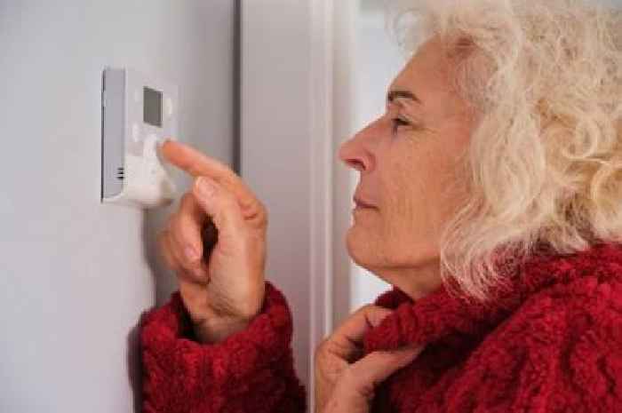 British Gas, OVO, EDF, EON, Octopus customers warned thermostat trend is 'jeopardising health'