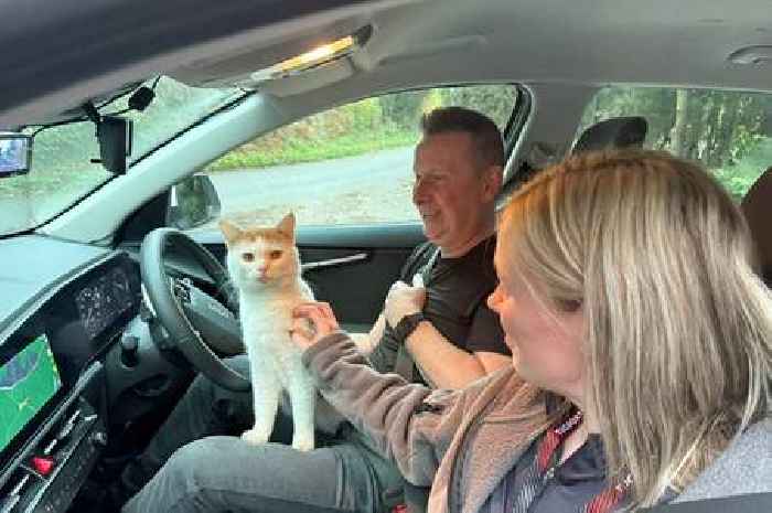 Scottish family's missing cat found in West Midlands after solo 300-mile trek