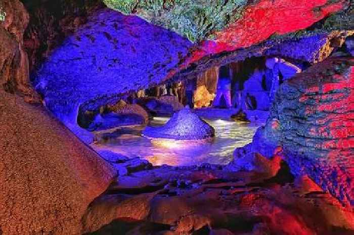 Magical winter wonderland in Somerset sees famous caves lit up by 100,000 lights