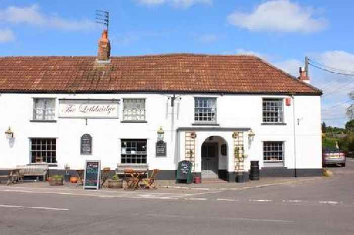 Somerset pub with delicious grub secures prestigious Good Food Award