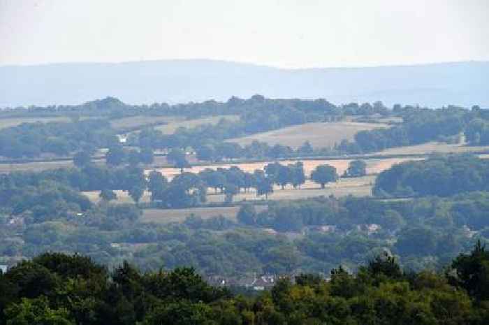 The ancient hill fort walk on the Surrey and Hampshire border with views that take your breath away