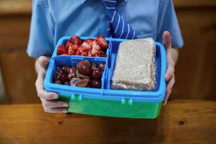 I'm a nutritionist and this 'healthy' snack for kids does more harm than good