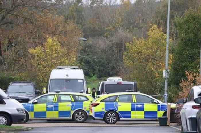 Human remains found in field identified as missing man who vanished six months ago