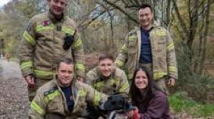 'Spooked' dog rescued after getting stuck in pipe