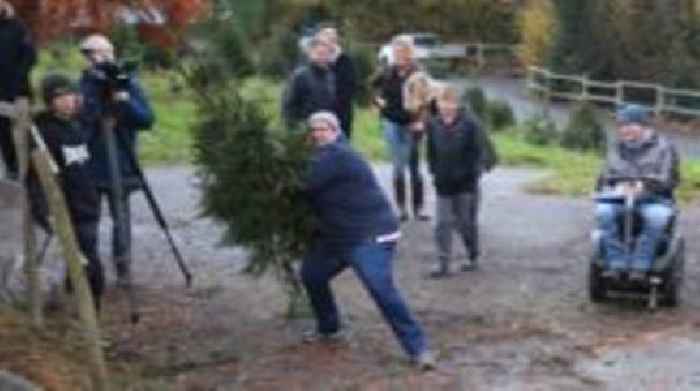 Christmas tree flingers hope to break record