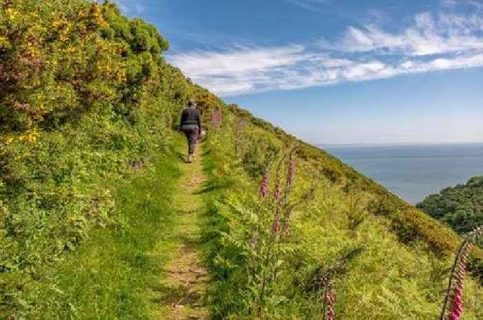 UK's most beautiful coastal walk has 'unparalleled views' through Somerset