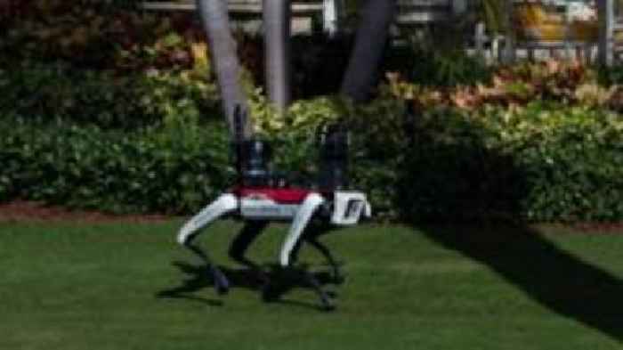 ‘Do not pet’: Why are robot dogs patrolling Mar-A-Lago?