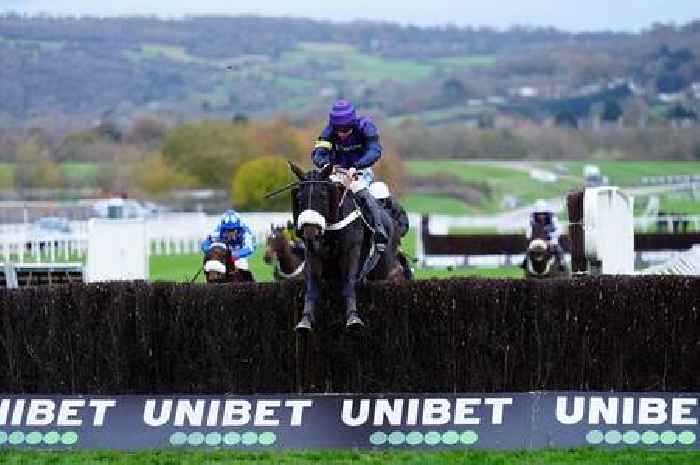 Cheltenham fans watch in horror as horse collapses and dies seconds after winning race