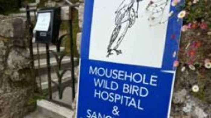 Avian flu threat temporarily closes bird hospital