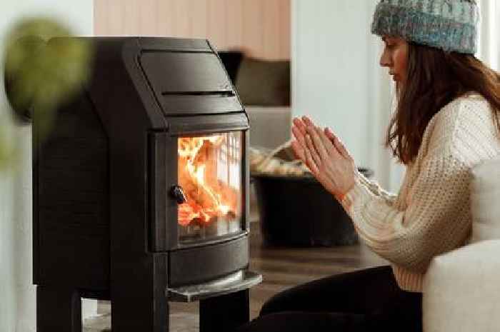 Wood burning stove owners told look for two marks after 60 deaths