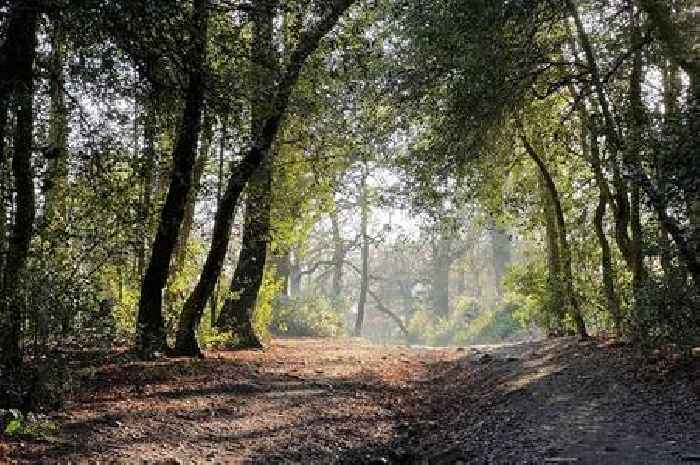 ‘Shocking’ – Sutton Park car parking charges plan slammed by MP saying it will cause ‘misery’