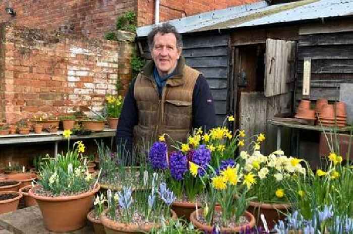 Monty Don warns gardeners 'obey wildflower rule or you will have broken the law’