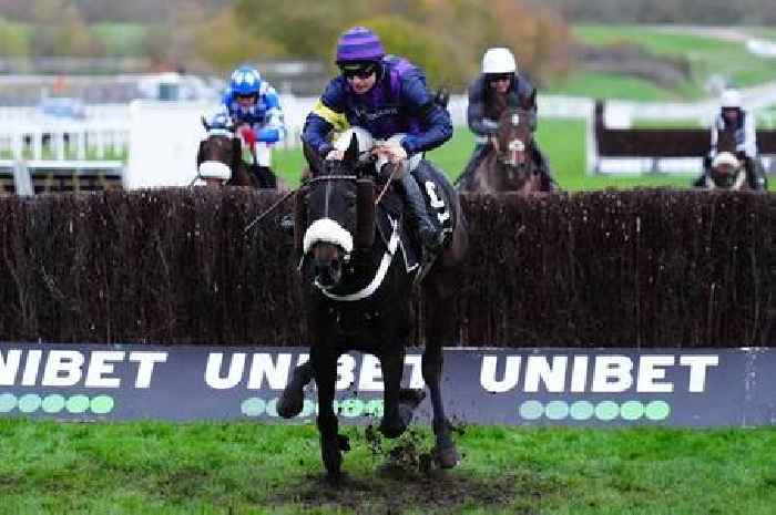 Three horses die at Cheltenham in one day amid sombre scenes at racecourse