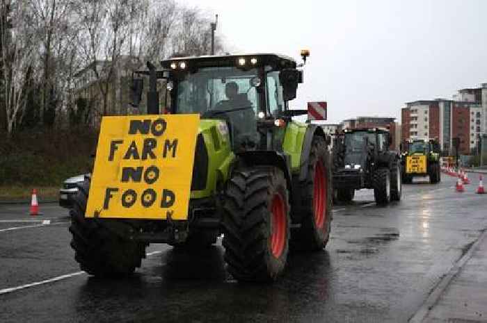 Tell us if British farmers should be protesting in the streets