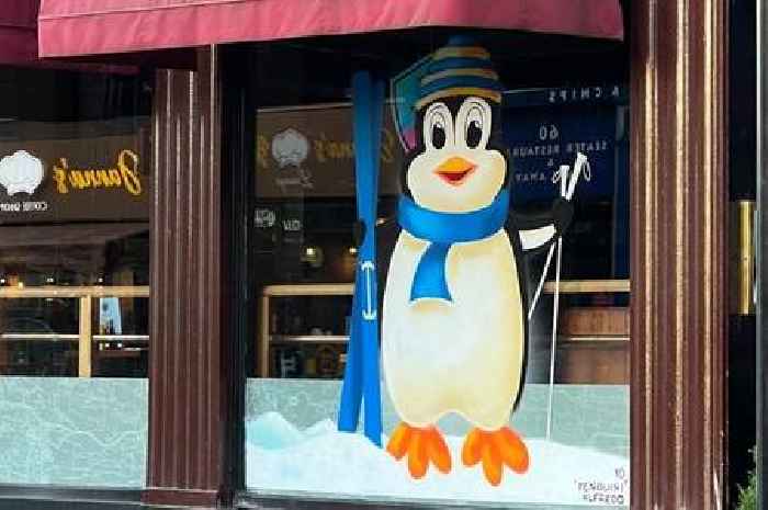 P-p-p-pick up a map and join Stirling city centre's 'penguin' trail around local shops this Christmas