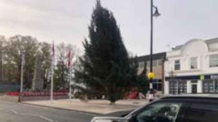 Town's wonky Christmas tree wish comes true