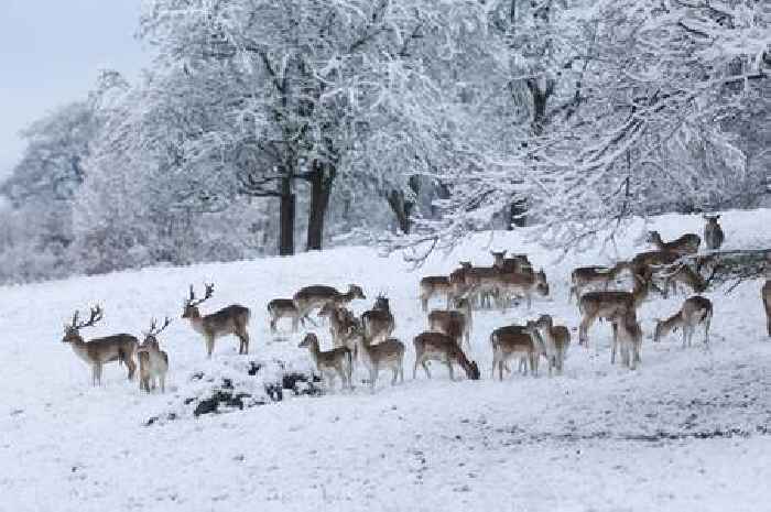 Day of disruption in Derbyshire as dozens of schools closed and several roads shut