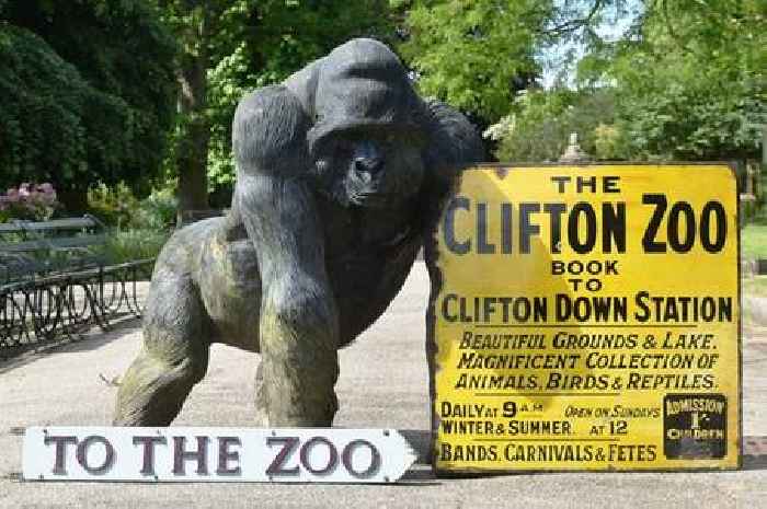 Bristol Zoo auction faces legal challenge days before big memorabilia sale