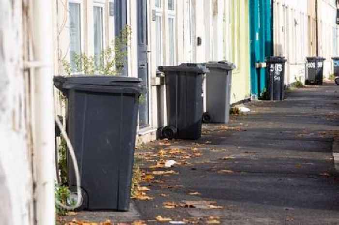 'It's a non-starter' as monthly bin collection proposal slammed