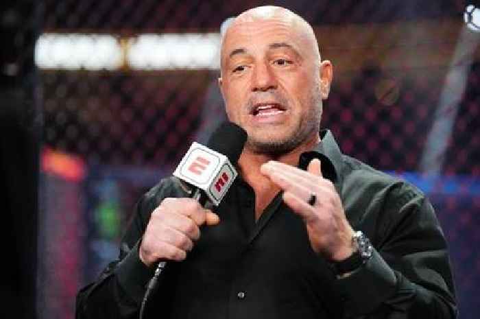 Joe Rogan delivers brutal three-word verdict on Mike Tyson's defeat to Jake Paul