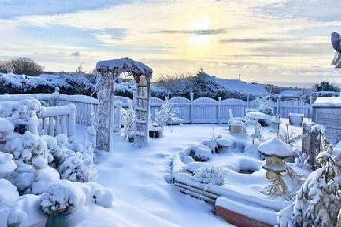 Warning issued to everyone with a garden as UK braces itself for snow