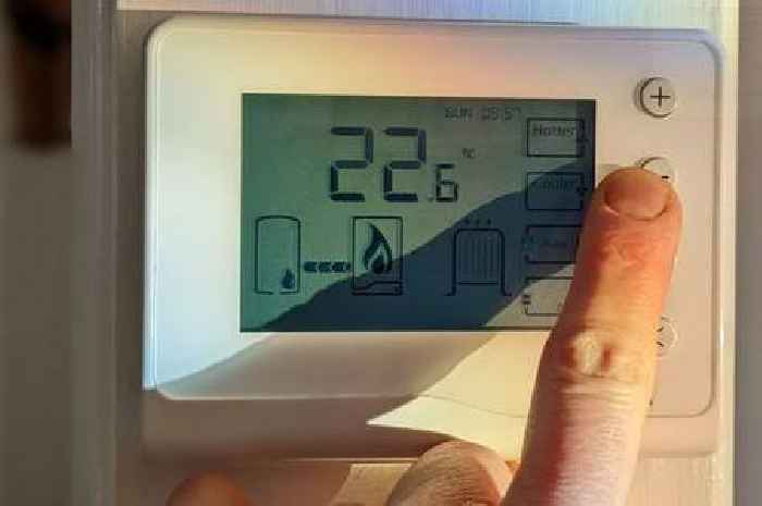 British Gas, OVO, Octopus, EON customers can touch button on thermostat for free £100