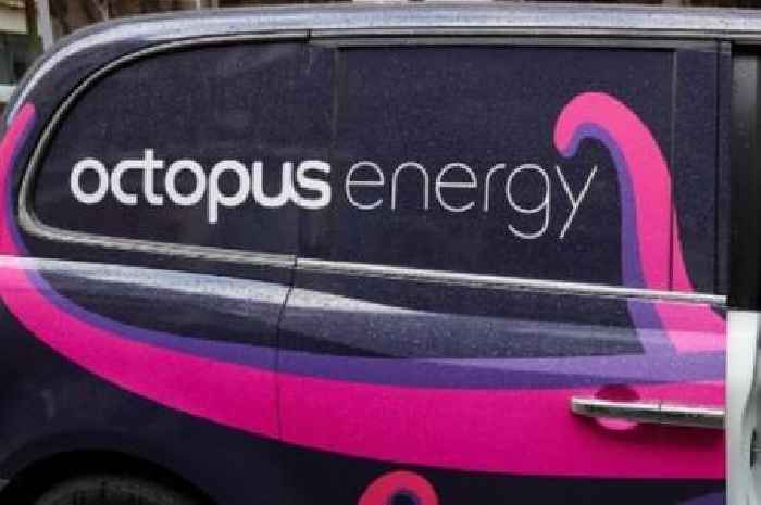 Octopus is handing energy customers £140 off bills before January price cap rise