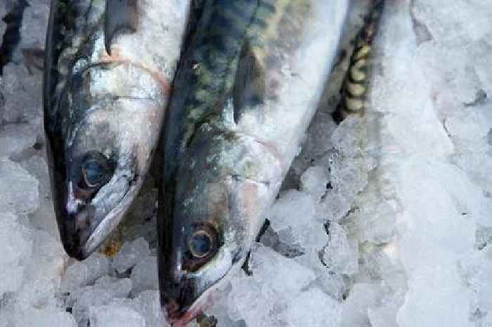 Warehouse workers steal £13,000 worth of fish