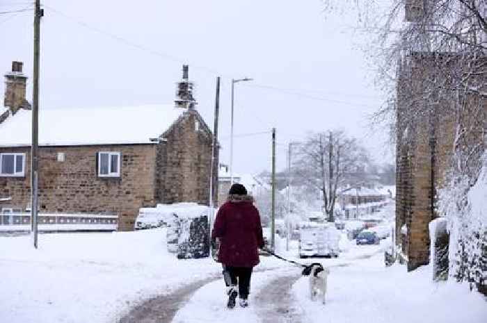 Man confesses real reason dogs are 'friendly' towards strangers on a walk