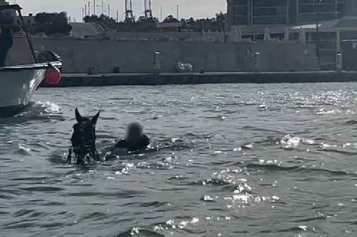 British holidaymaker's strange sight' as man rides swimming horse in sea next to boat