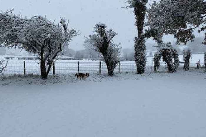 Met Office issues new snow warning for Wales as Arctic blast continues