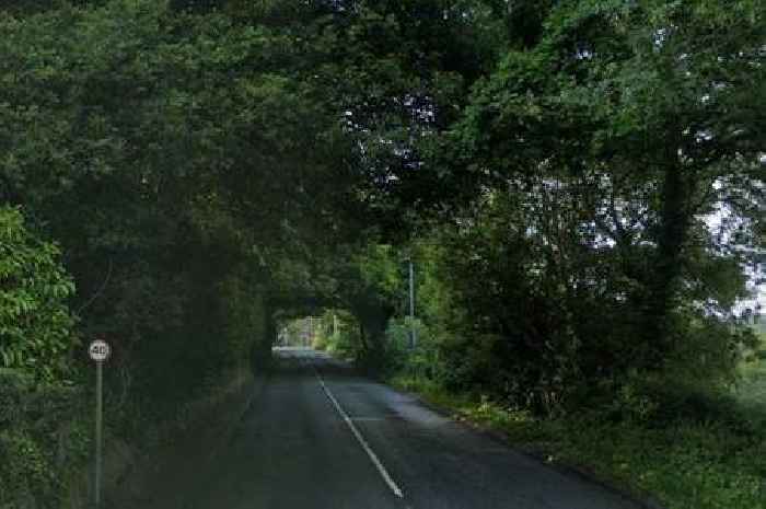 Pedestrian dies after he's hit by HGV lorry