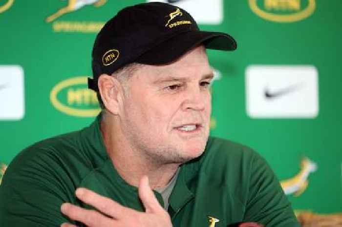 Springboks coach calls for Warren Gatland 'respect'