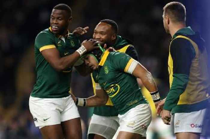 Sport | Lungani Zama | Double-oh heaven: South Africa wouldn't swap Kolbe for the world