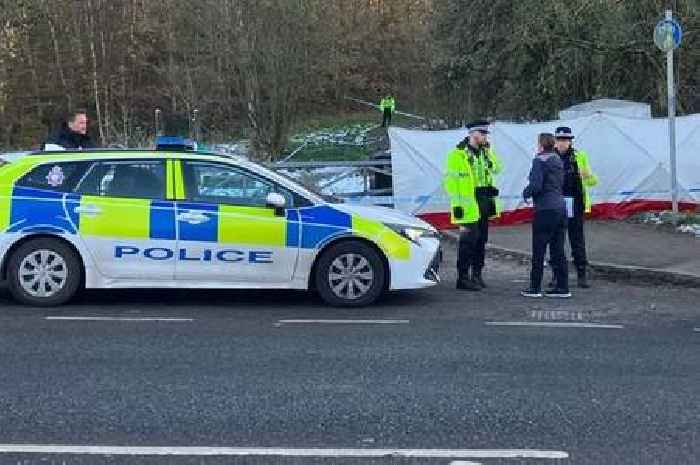 Police rush to scene as 'baby found dead' in field near motorway bridge