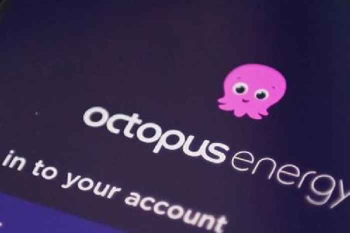 Octopus Energy handing £750 to customers who have their own driveway