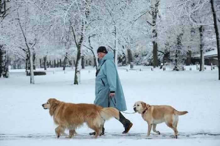 UK snow sparks hopes of white Christmas as Met Office issues December forecast