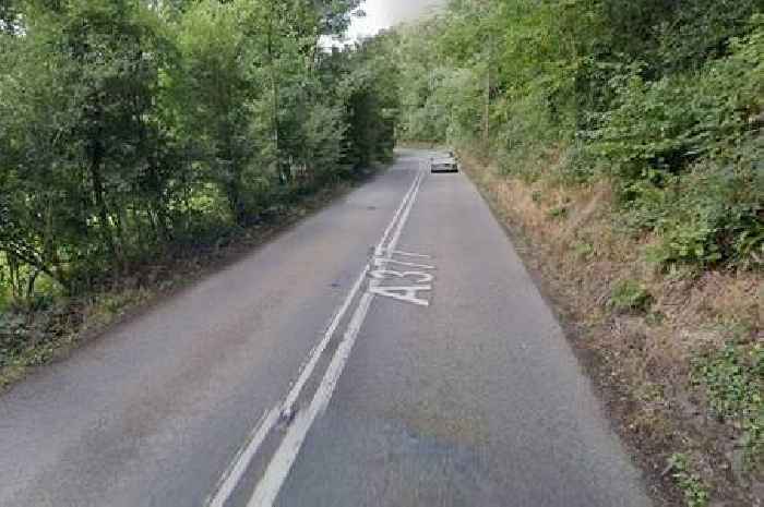 Live: North Devon road closed both ways after tree falls near train station