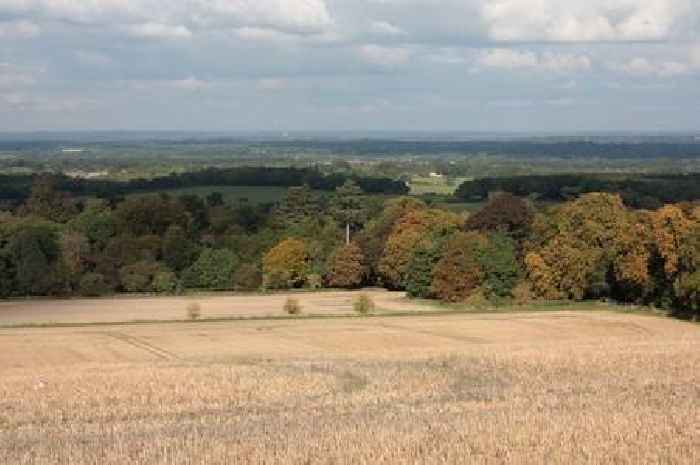 University of Surrey's controversial solar farm could face fresh battle as campaigners urge Angela Rayner to act