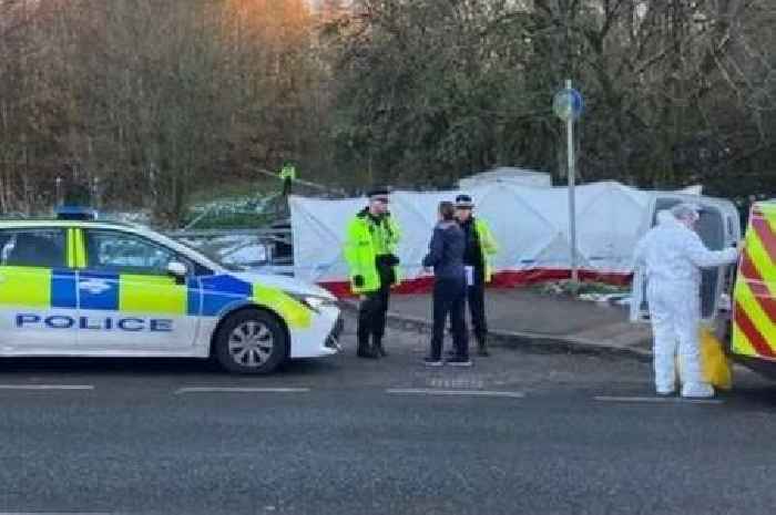 Baby's body found in snow-covered field near motorway bridge