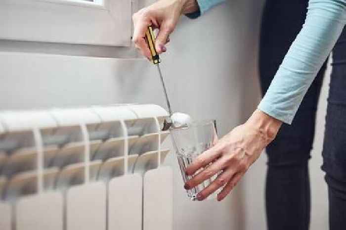 Get radiators ‘hotter and heating up faster’ with plumber’s three easy tasks